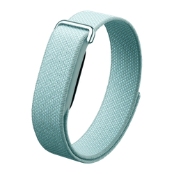Фитнес-браслет Google Fitbit Air
