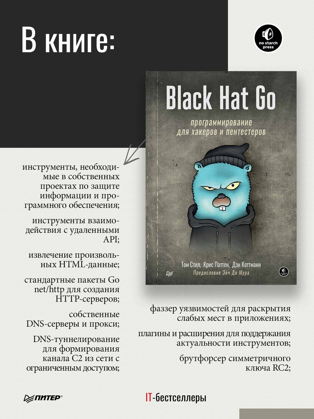 Black Hat Go: Программирование для хакеров и пентестеров
