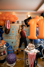 One Piece Party