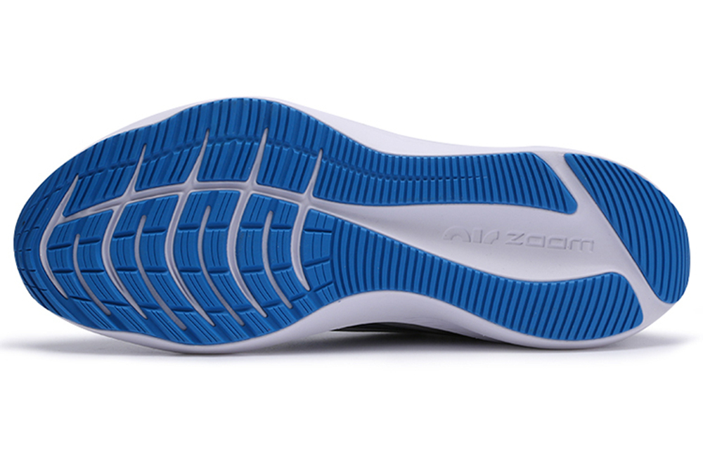 Кроссовки Nike Zoom Winflo 7
