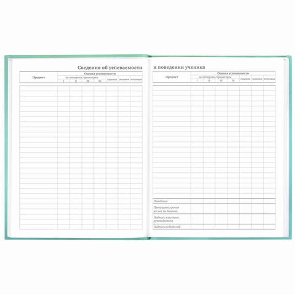 Дневник 5-11 класс 48 л., твердый, BRAUBERG, выборочный лак, с подсказом, "Гусь-джентльмен", 106884