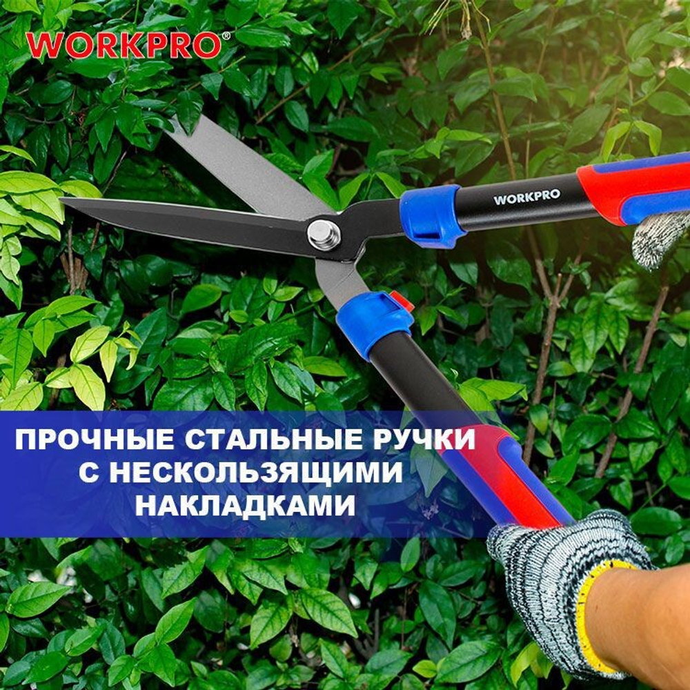 3063-gthumb-gmarkdatalogo1.png-gmarkposdatabottom-right
