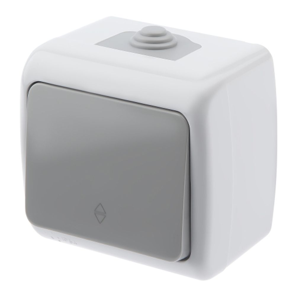 Переключатель Intro Atlantic 5-103-03 10А-250В, IP54, открытой установки, серый | Intro