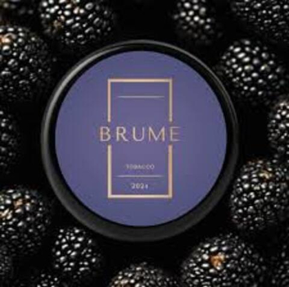BRUME 100 Wild Blackberry