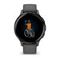 Умные часы Garmin Venu 3S серый с темно-серым безелем