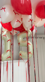 Шары для девушек №499