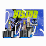 Светодиодные автомобильные LED лампы Takimi Vision D8S 6000К 12V