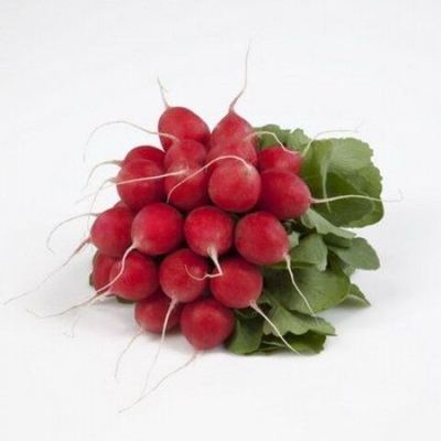 Валери F1 семена редиса (Rijk Zwaan / Райк Цваан)