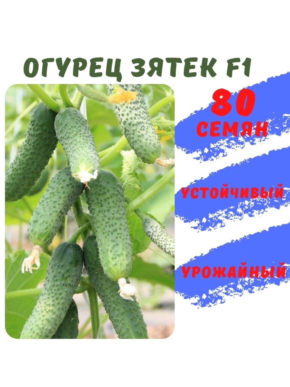 Семена огурца Зятек F1 80 семян
