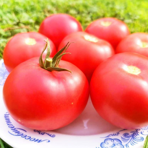 Помидоры Сладкий Красавец Узбекистана