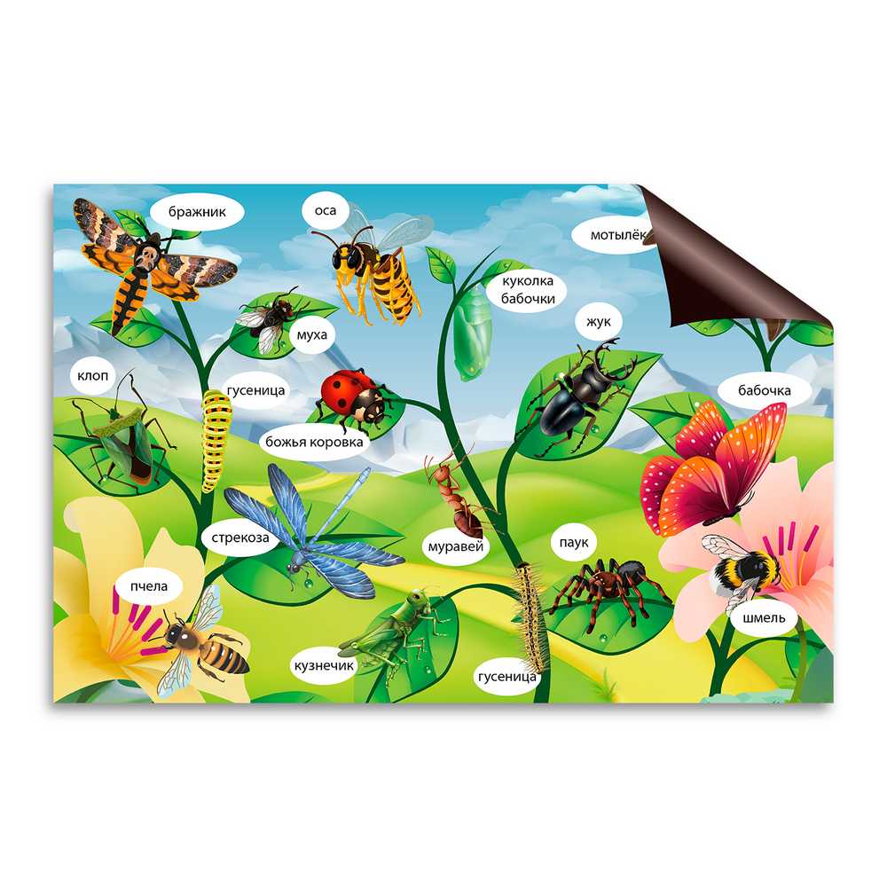 Тематический виниловый элемент Насекомые. Серия Природа 166000752