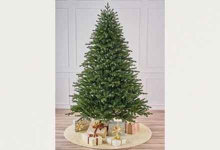 Смешанные ели