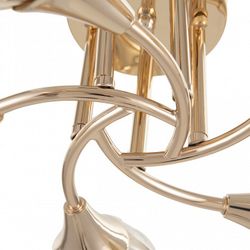 Потолочная люстра Arte Milano Napoli-6366 336366/5 FGD