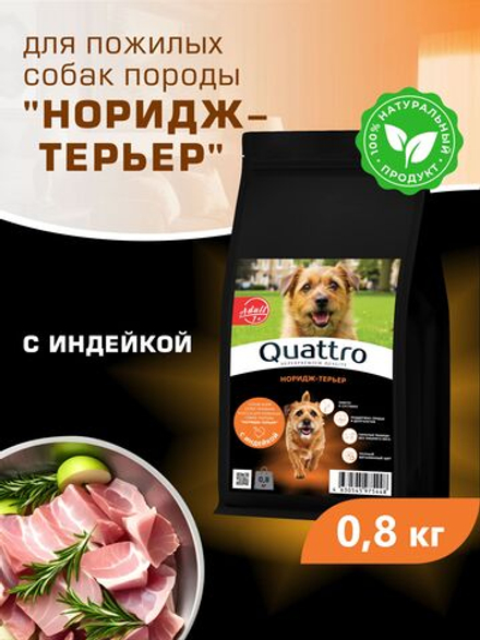 Корм сухой для пожилых собак породы Норидж-терьер старше 7 лет, с индейкой, 800 гр, QUATTRO