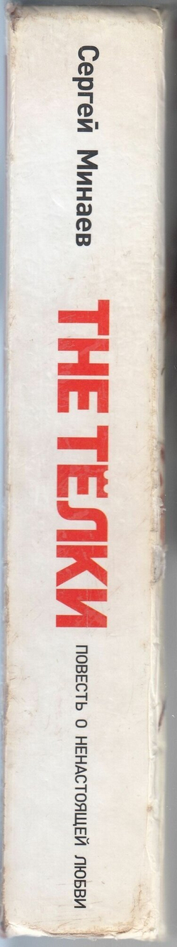 The Телки. Повесть о ненастоящей любви