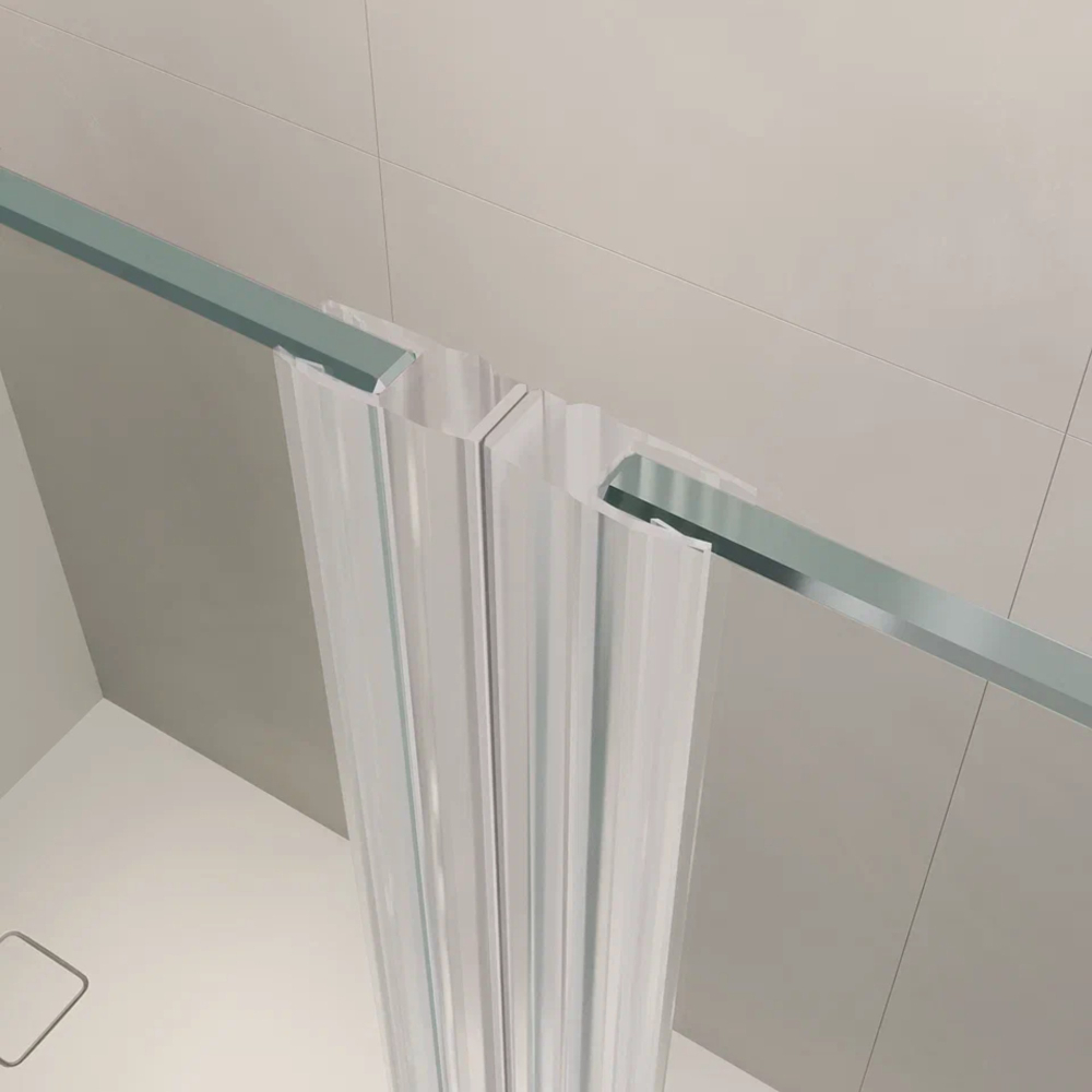 Душевая дверь RGW LE-009 (LE-004 + Z-09+профиль A-14) (Прозрачное, 1700)