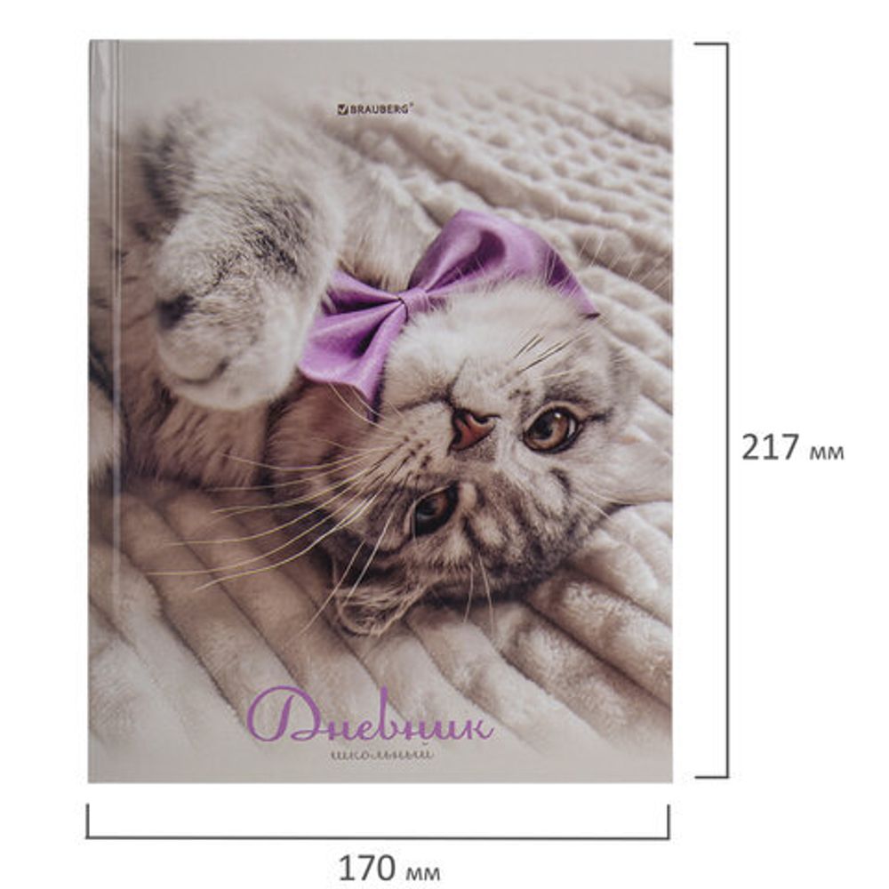 Дневник 5-11 класс 48 л., твердый, BRAUBERG, глянцевая ламинация, с подсказом, "Котик", 107188
