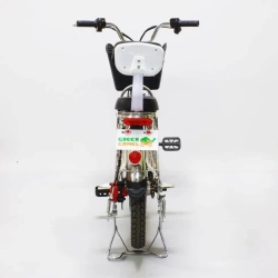 Электровелосипед Green Camel Транк-18-60 (R18 350W 60V) Алюм