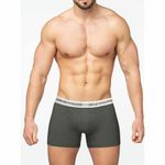 Мужские трусы боксеры темно-серые Sergio Dallini SG2845-2
