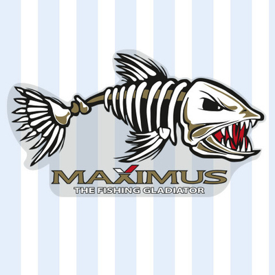 НАКЛЕЙКИ MAXIMUS "РЫБА" NEW 295*193