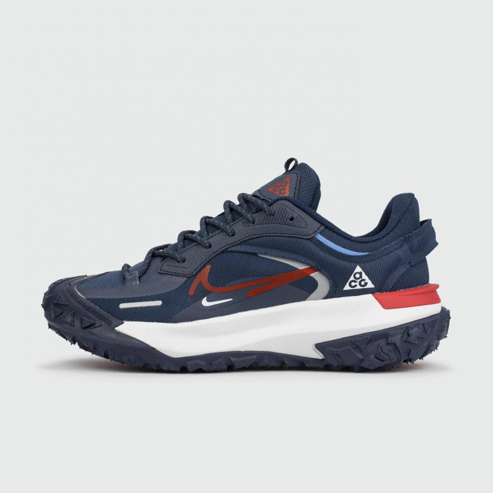 кроссовки Nike ACG Mountain Fly 2 Low Gtx Blue / White