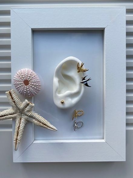 Кафф Ласточка 12мм, цвет серебро