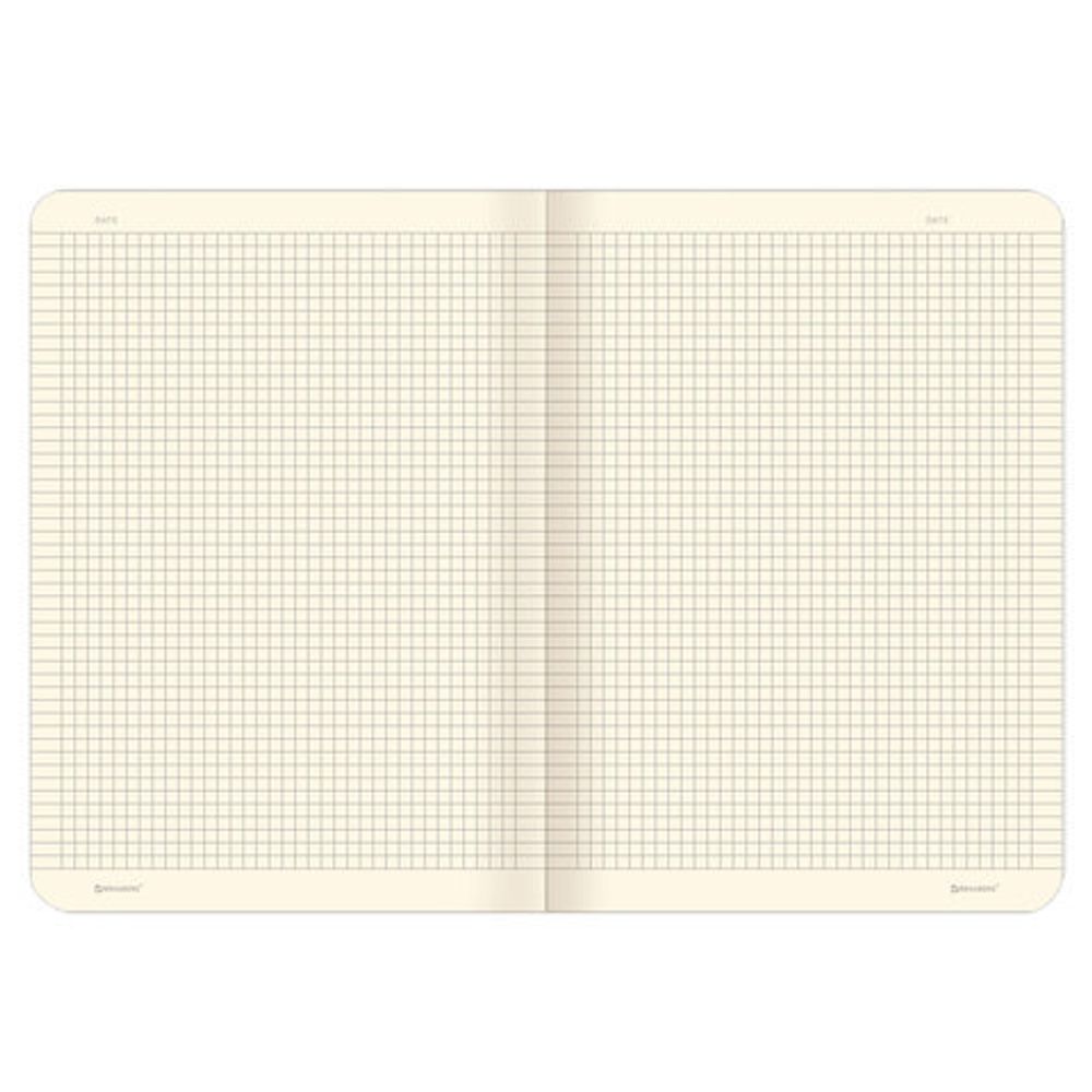 Тетради 60 л. в клетку обложка SoftTouch, НАБОР 2 шт., бежевая бумага 70 г/м2, сшивка, B5 (179х250 мм), COSMOS, BRAUBERG, 403821