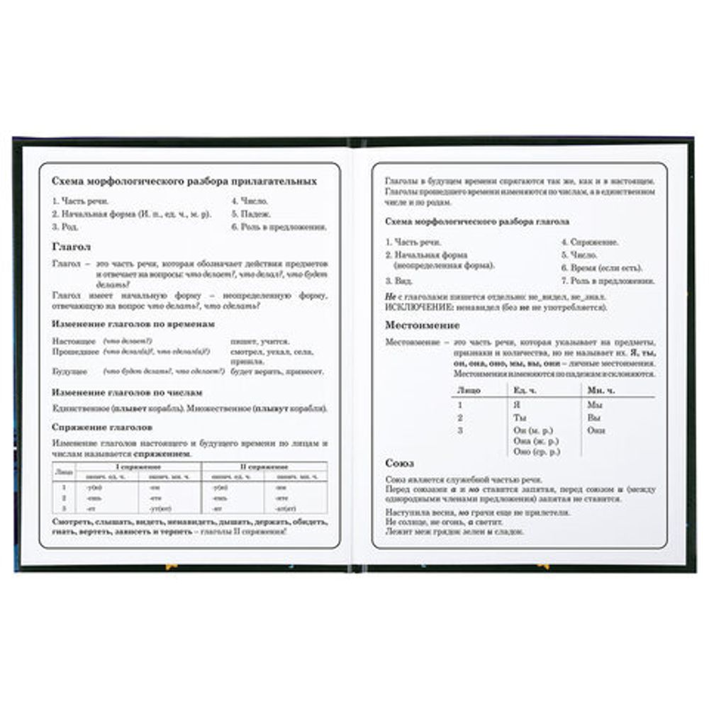 Дневник 1-4 класс 48 л., твердый, BRAUBERG, глянцевая ламинация, с подсказом, "Аниме котики", 106831