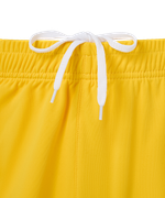 Шорты вратарские JOGEL PREMIER PerFormDRY GK Shorts Yellow, желтый
