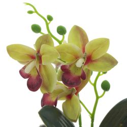 GAEM Цветочная композиция "Орхидея", L11 W11 H26 см