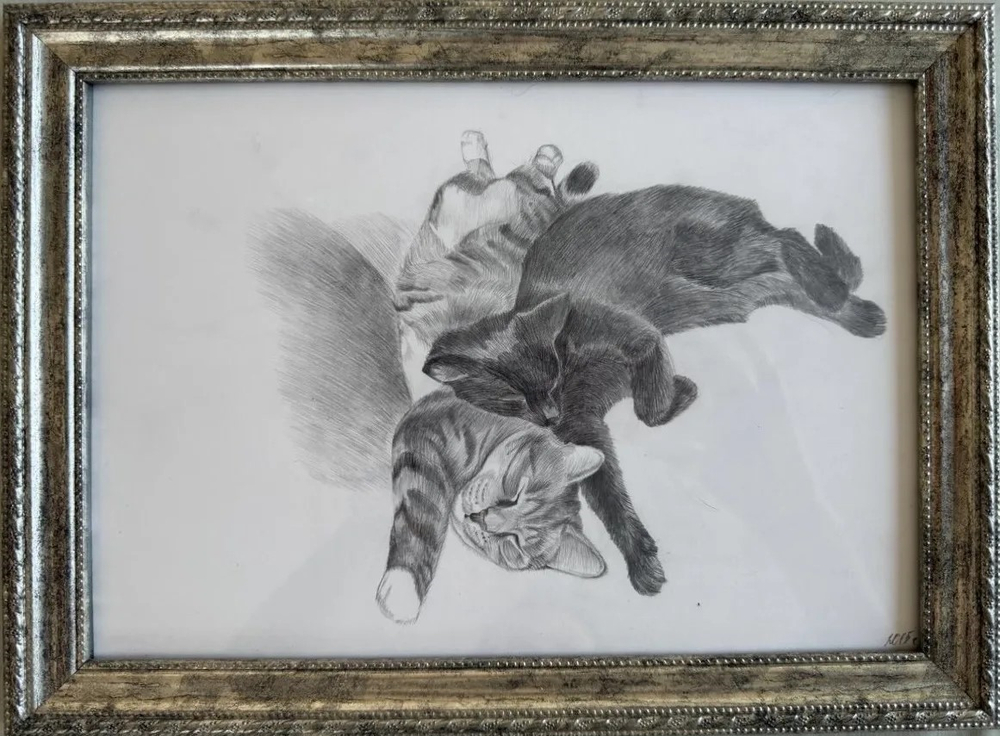Коты спят