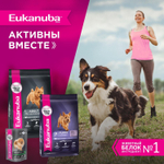 Сухой корм Eukanuba Adult Small Breed 1+ years для взрослых собак мелких пород с курицей 3 кг