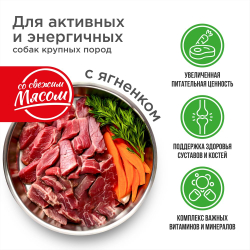 Корм сухой для взрослых собак крупных пород, премиум полнорационный комплекс, для активных и энергичных, с ягненком, 12 кг, QUATTRO
