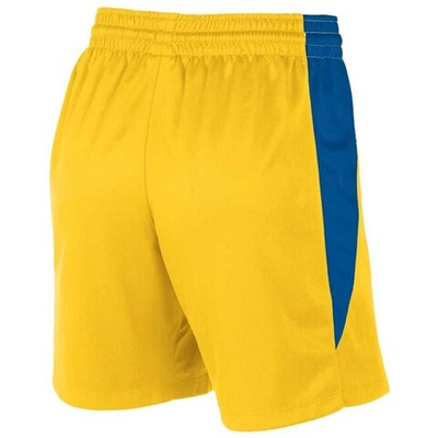 Баскетбольные женские шорты Nike Womens Team Basketball Stock 20 Shorts Yellow