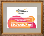 Рамка 39x55 для постера и фотографий RPS0634020-01(80011)