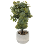 Цветочная композиция Бонсай