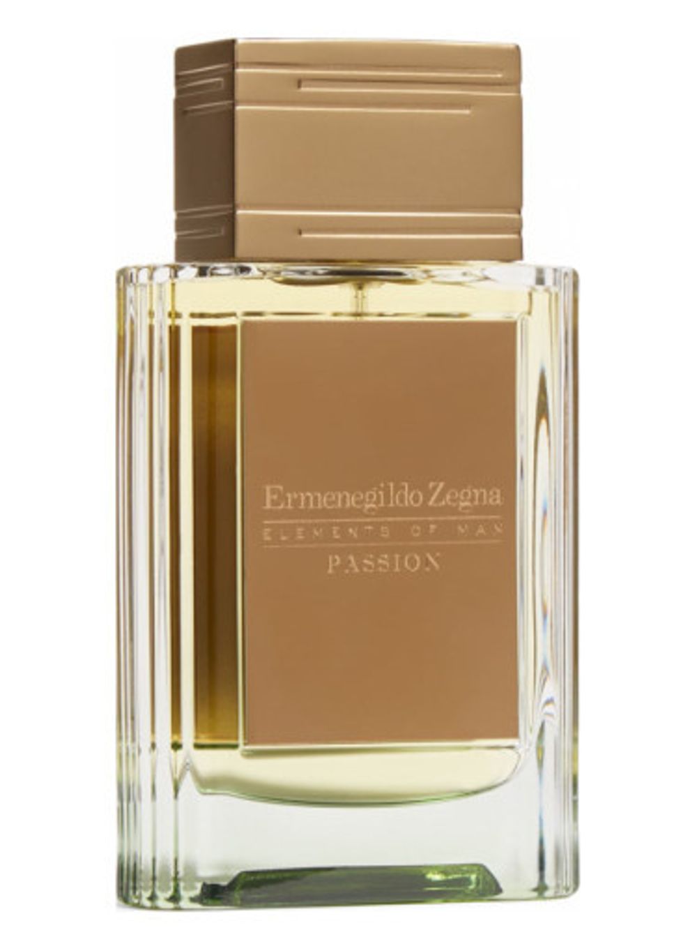 Ermenegildo Zegna Passion