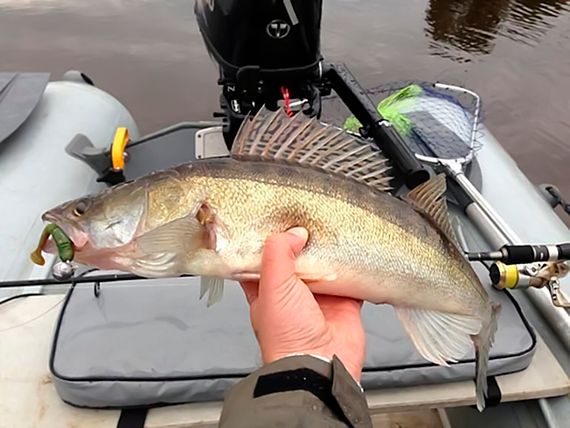 Виброхвосты съедобные LJ Pro Series TIOGA 2.0in (5 см), цв. 085, 10 шт.