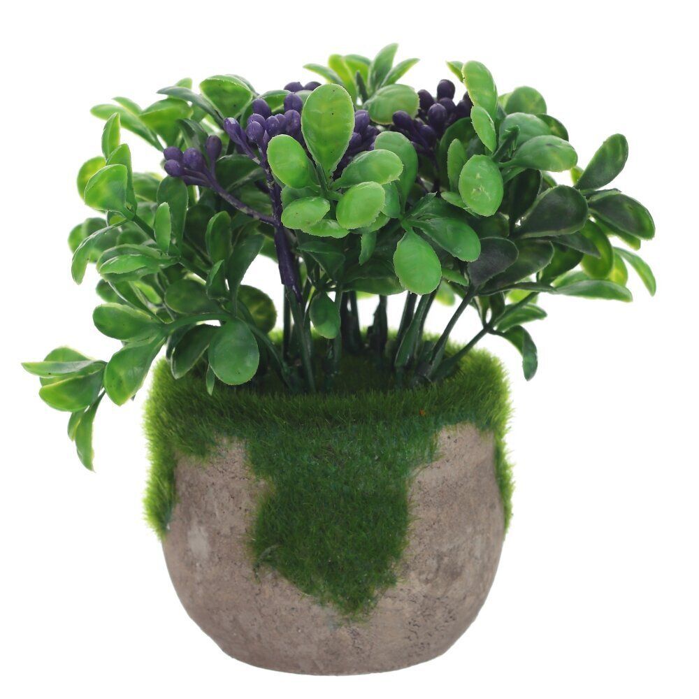 GAEM Цветочная композиция, L13 W13 H12 см