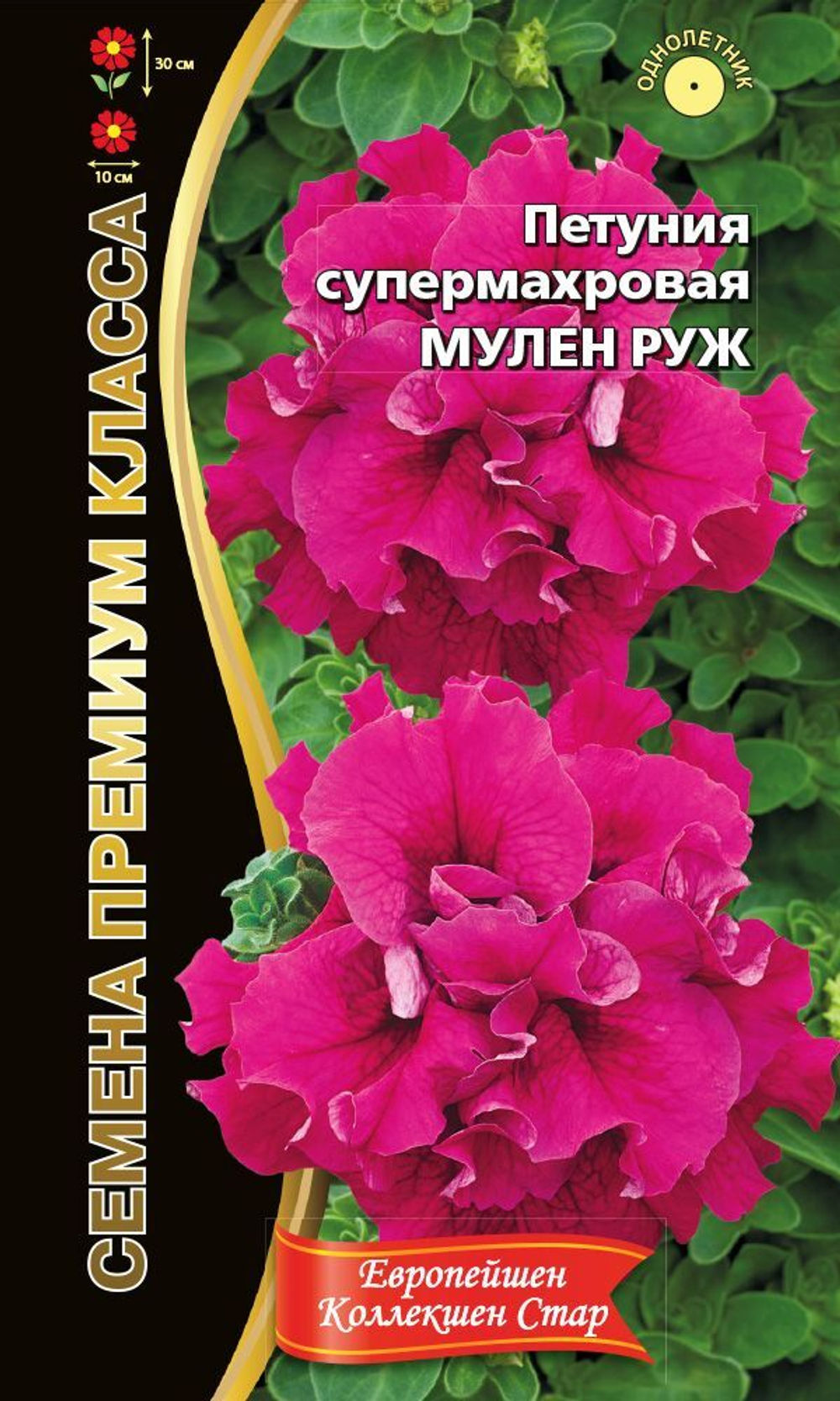 Петуния Мулен Руж 6 шт