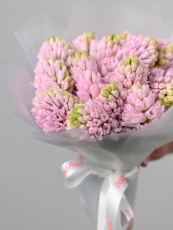 Монобукет из Гиацинтов