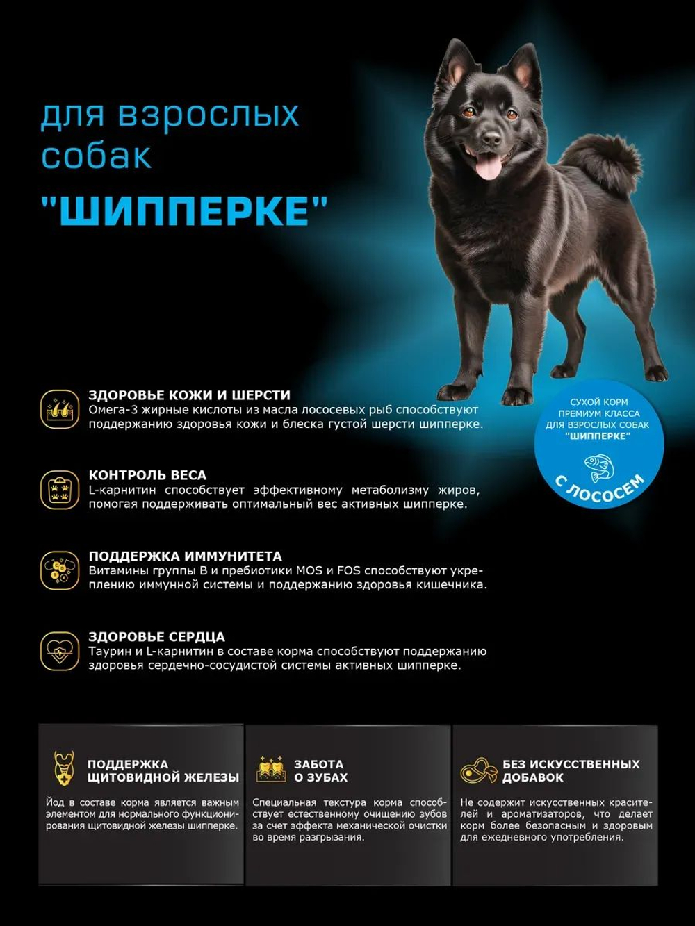 Корм сухой для взрослых собак породы Шипперке, с лососем, 12 кг, QUATTRO