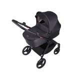 Коляска 2 в 1 Anex IQ