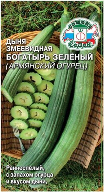 дыня змеевидная Богатырь Зеленый
