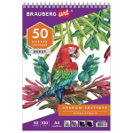 Скетчбук 205х290 мм, 50 л., гребень "DEBUT" (BRAUBERG)