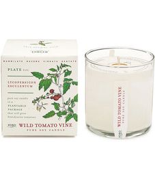 Wild Tomato Vine, свеча The Seeds, Kobo Candles