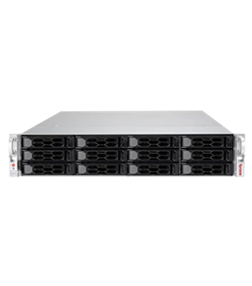 Сервер Tyrone SDA200A2W-212