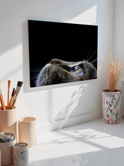 Картина на стену 40 X 50 Кот