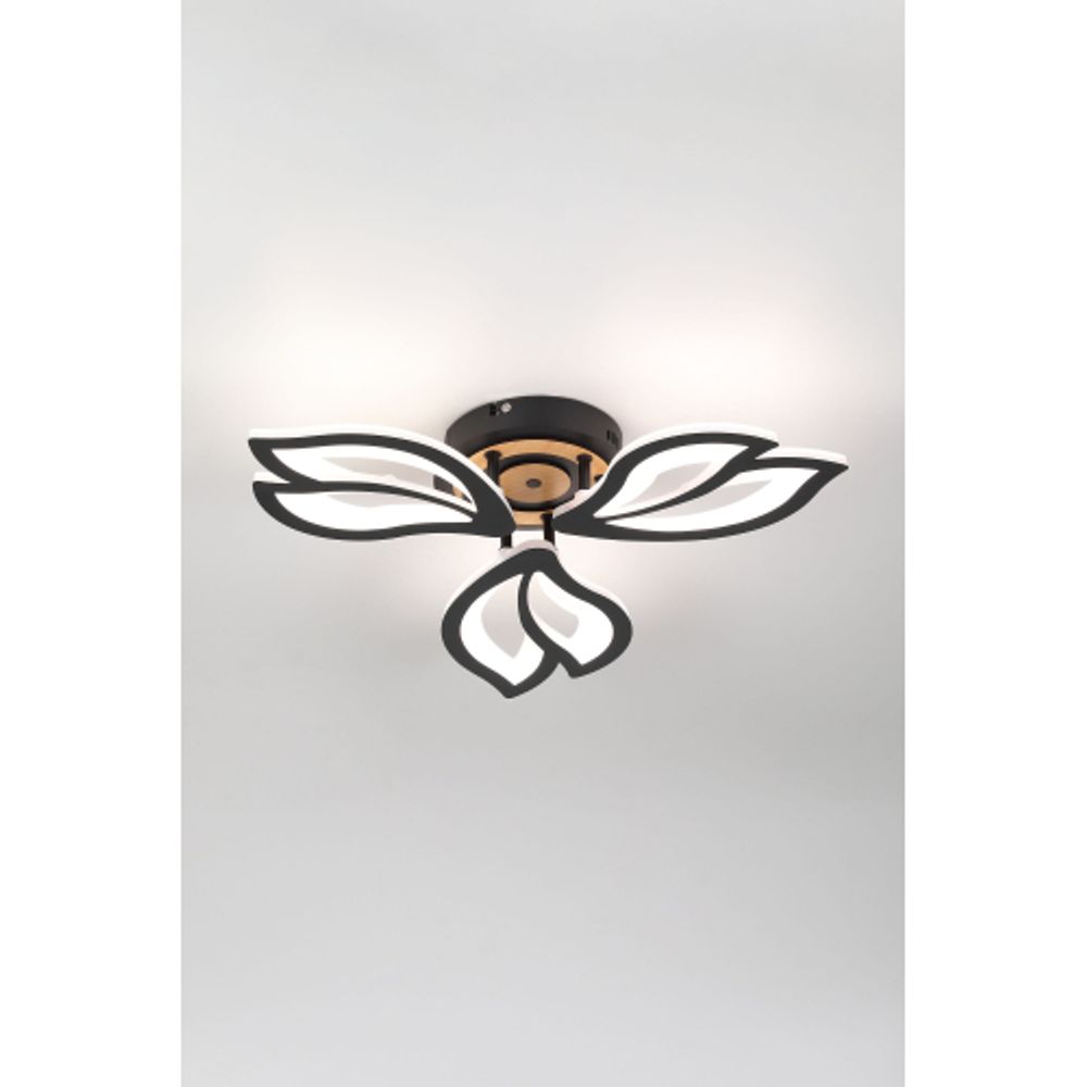 Светильник потолочный светодиодный Rivoli Lana 6195-703 LED 3000-6250К 60 Вт с пультом | Rivoli