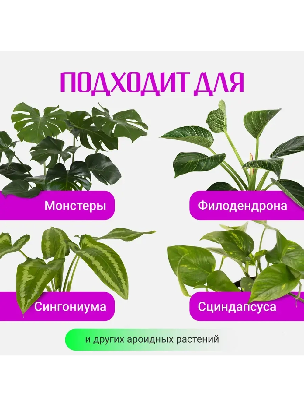 Органический грунт для монстеры 2,5 л